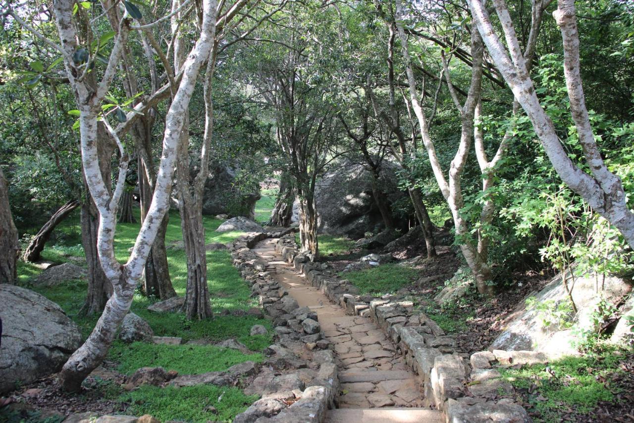 Miheen Hotel & Resort - Anuradhapura Mihintale Zewnętrze zdjęcie