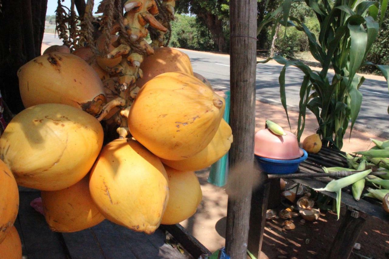 Miheen Hotel & Resort - Anuradhapura Mihintale Zewnętrze zdjęcie